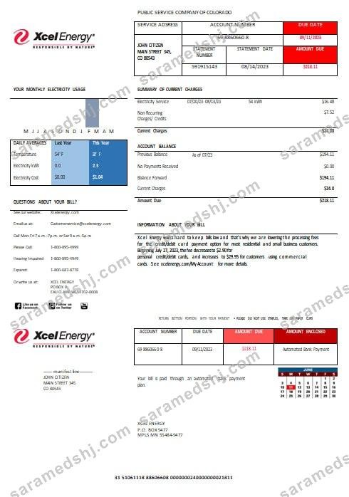 USA XcelEnergy electric utility bill Word and PDF formats